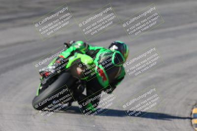 media/Feb-04-2024-SoCal Trackdays (Sun) [[91d6515b1d]]/4-Bowl Backside (11am)/